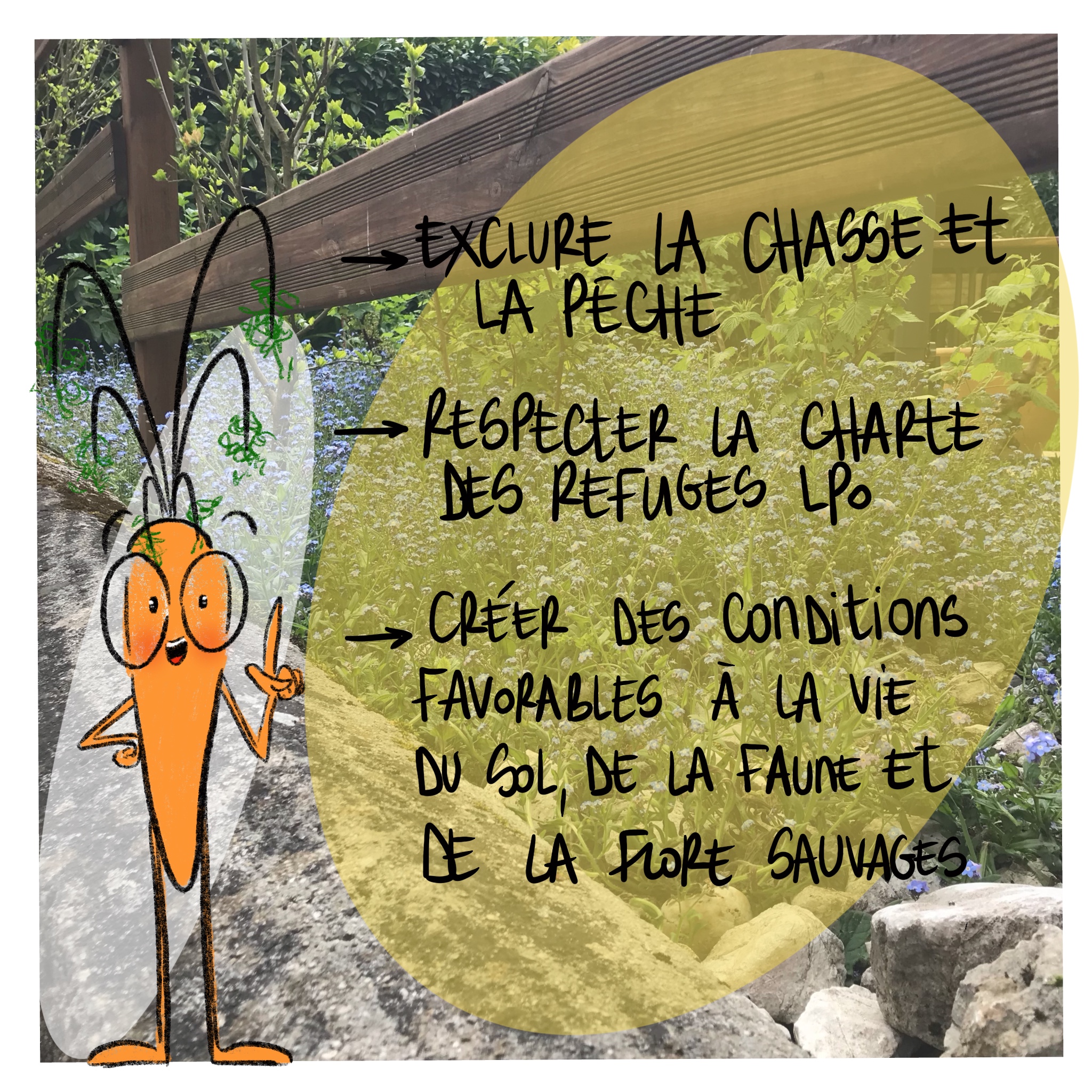 Image d'illustration de l'article