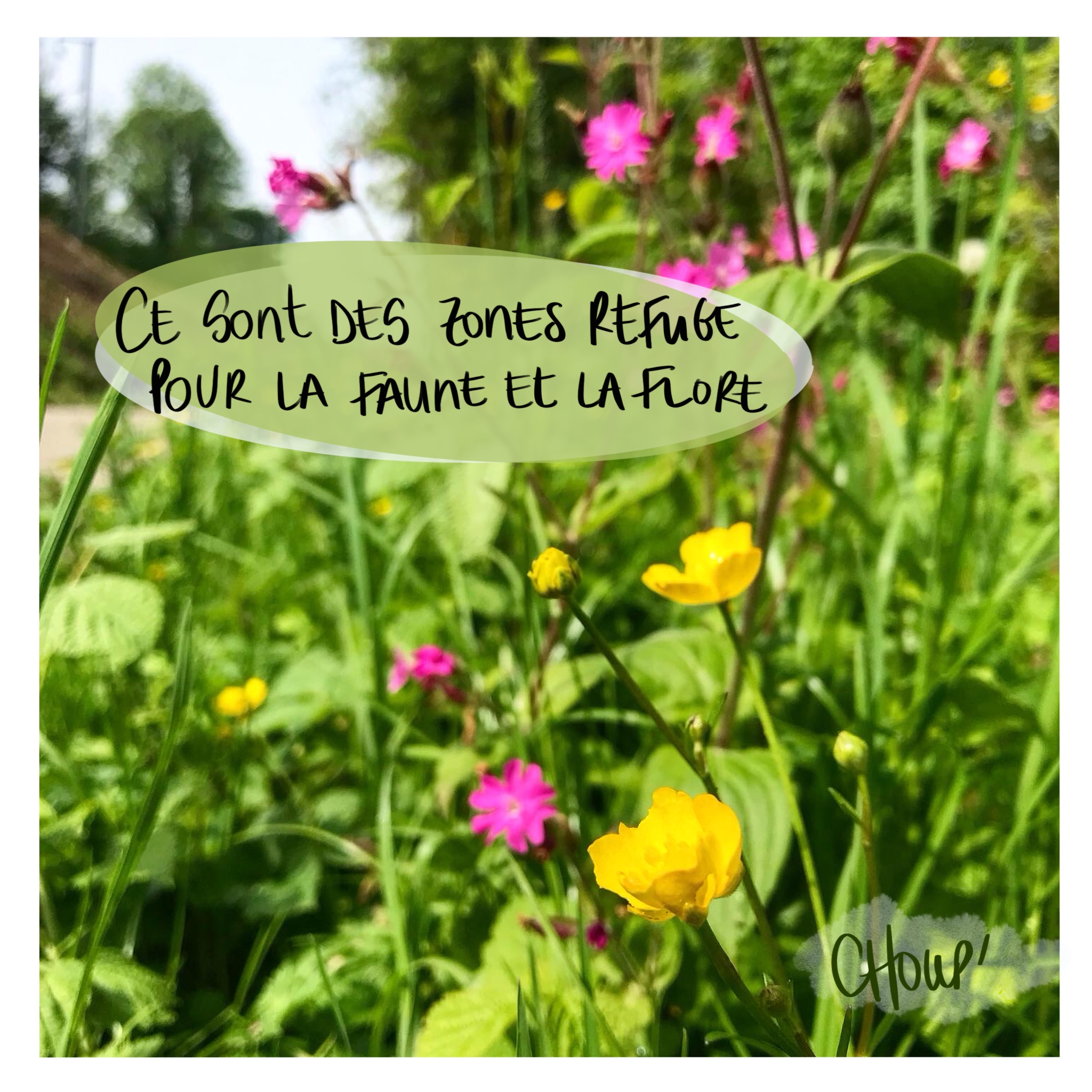 Image d'illustration de l'article