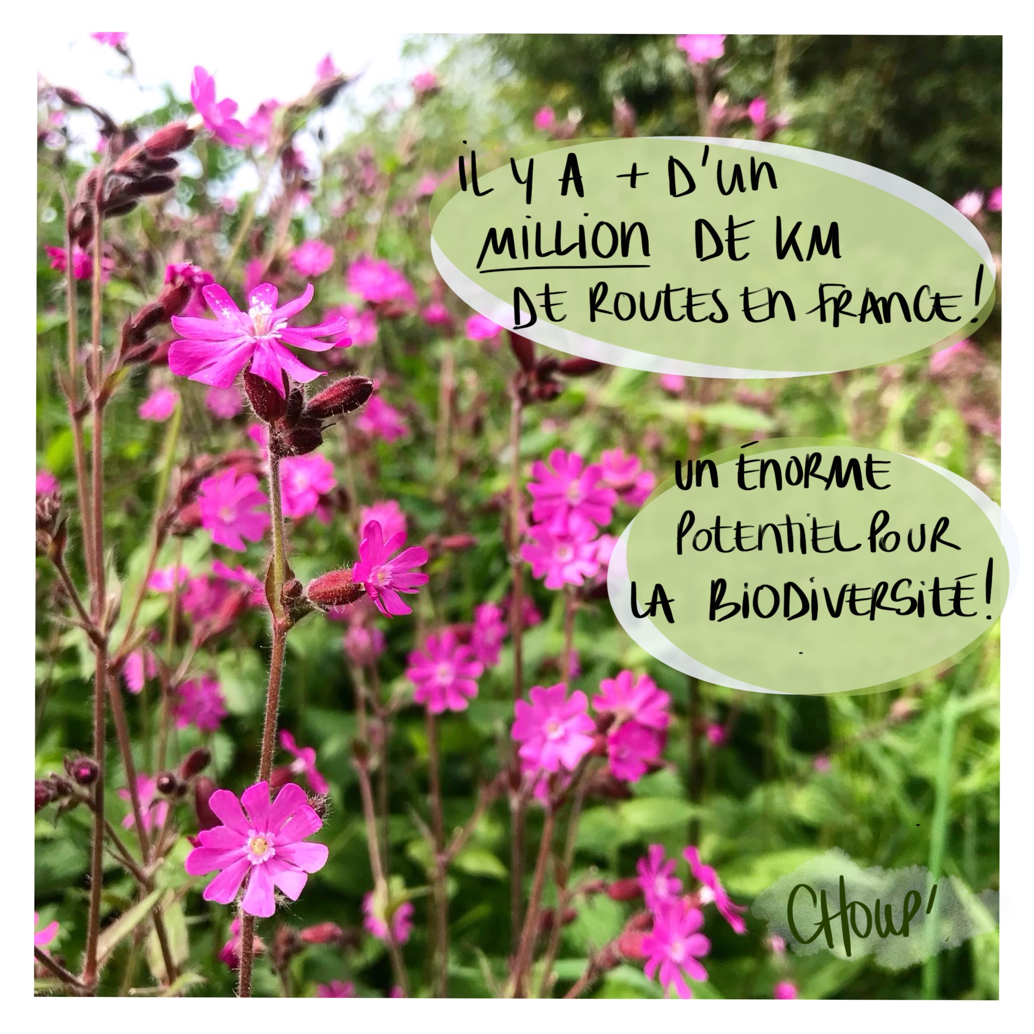 Image d'illustration de l'article