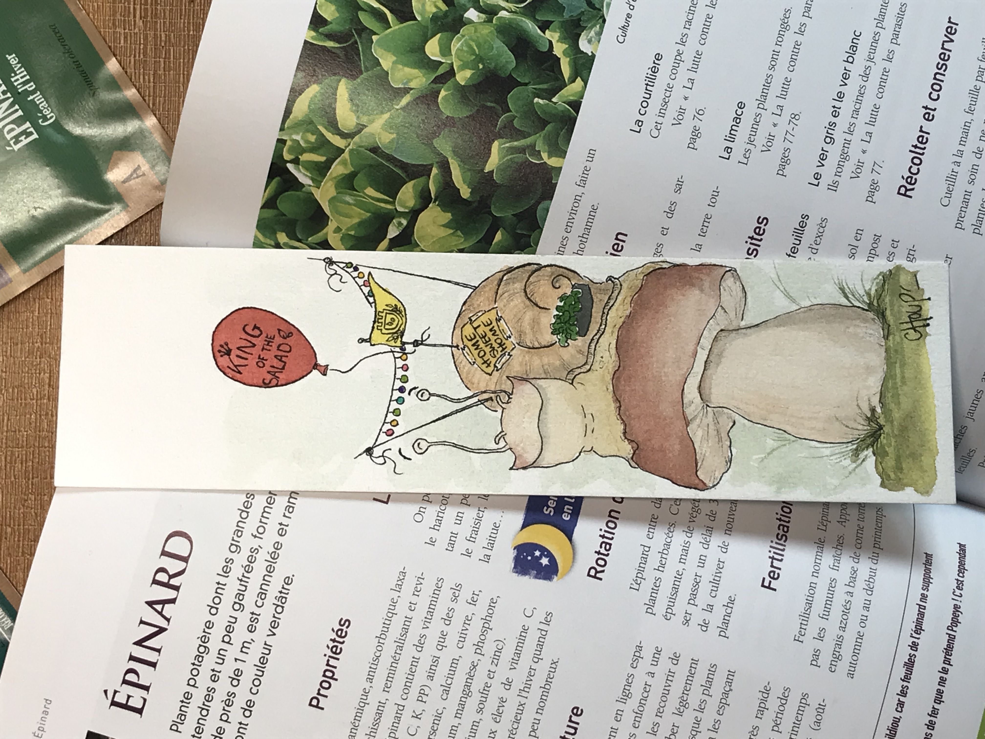 Marque page représentant un escagrot installé sur un champignon